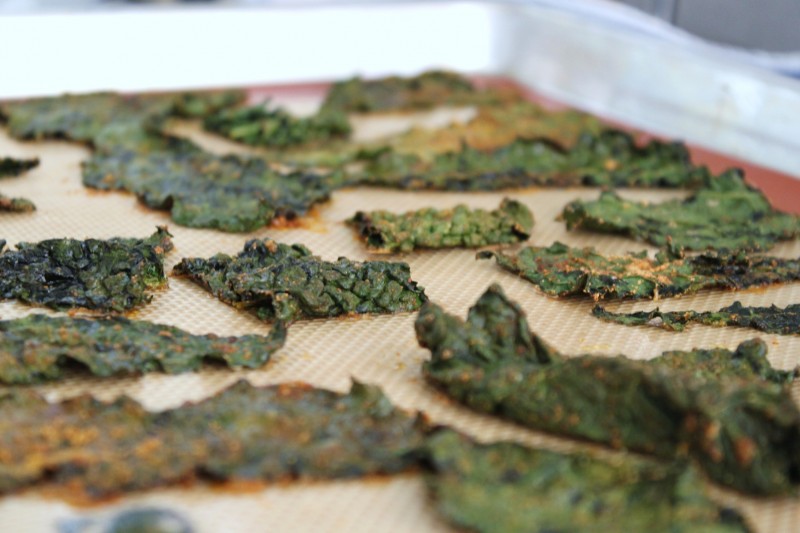 Tuscan Kale Chips jessica burns