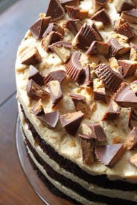 chocolate peanut butter cake