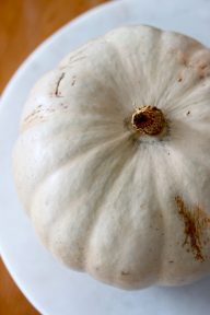 homemade canned pumpkin purée